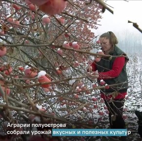 Уже завтра наступит Новый 2026 год!