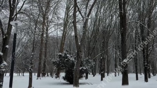 ���� ������� ��� ��� � ������