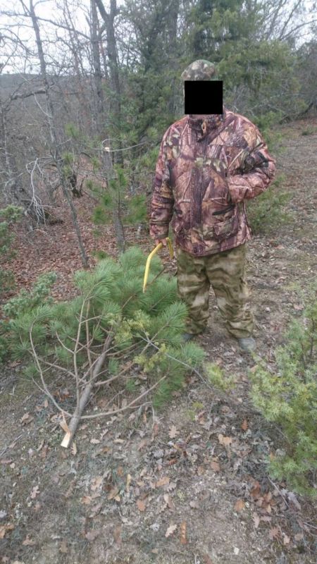 � �������������� ������ � ����� ��������� 3 ������ ���������� ��������� �������