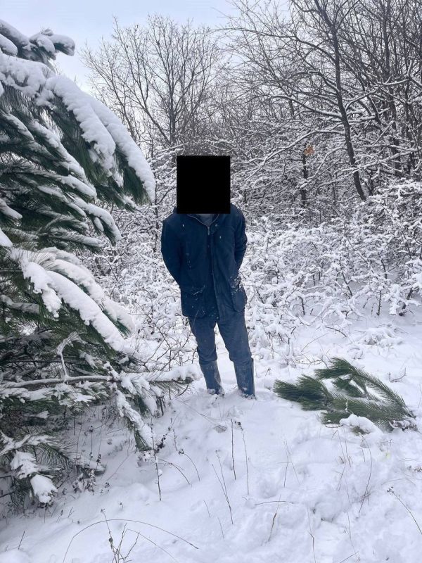 � �������������� ������ � ����� ��������� 3 ������ ���������� ��������� �������