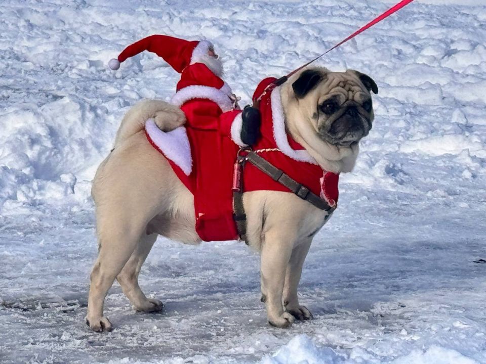 ������ ���������: ��������� ���������� ������: ������� � �������� ����������� �������� � � �����