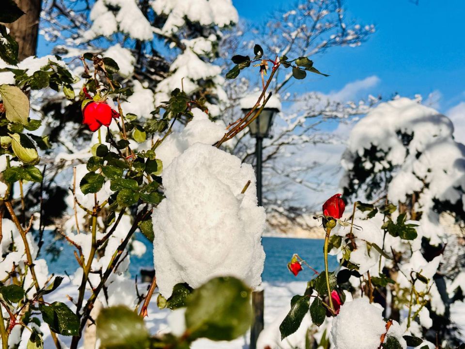 ������ ���������: ��������� ���������� ������: ������� � �������� ����������� �������� � � �����