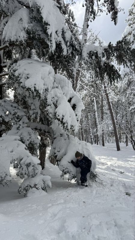 ���� � ����� - ������� ������, ������� ������ ��������������, ��� ����� � ����� ��������� ������