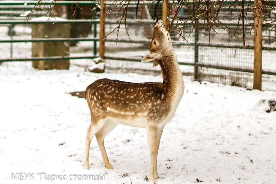 � ��� ���������� ������� ��������� �������� ��� �������� - � 9:00 �� 17:00