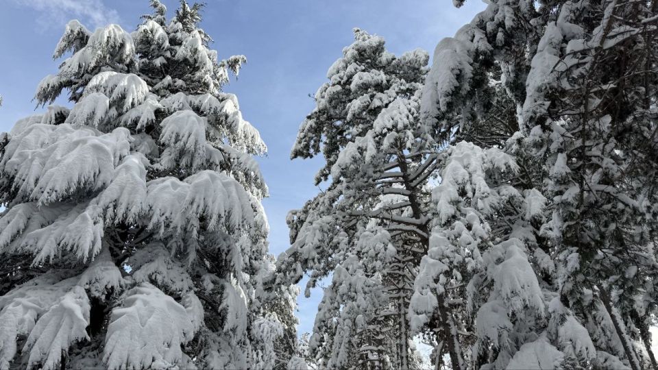 ���� � ����� - ������� ������, ������� ������ ��������������, ��� ����� � ����� ��������� ������