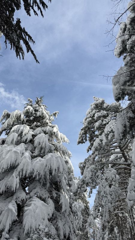 ���� � ����� - ������� ������, ������� ������ ��������������, ��� ����� � ����� ��������� ������