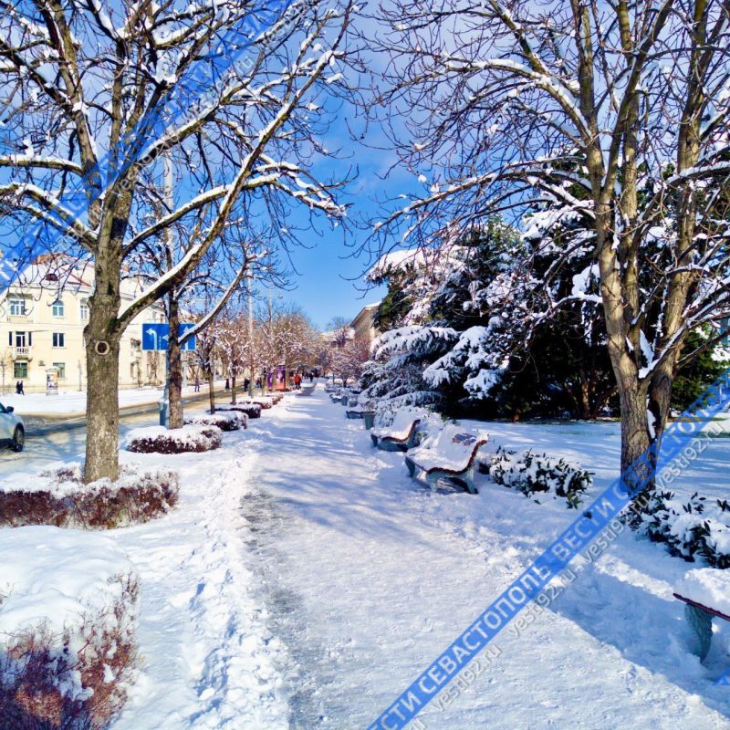 ������ ������������ ���� ������������� �������� �������: ��������� ��� ���� �� ������� ����� ������ ������ � ���������� ���������!