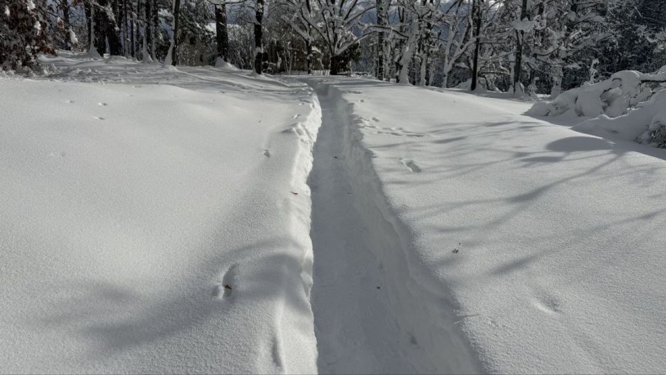 ���� � ����� - ������� ������, ������� ������ ��������������, ��� ����� � ����� ��������� ������