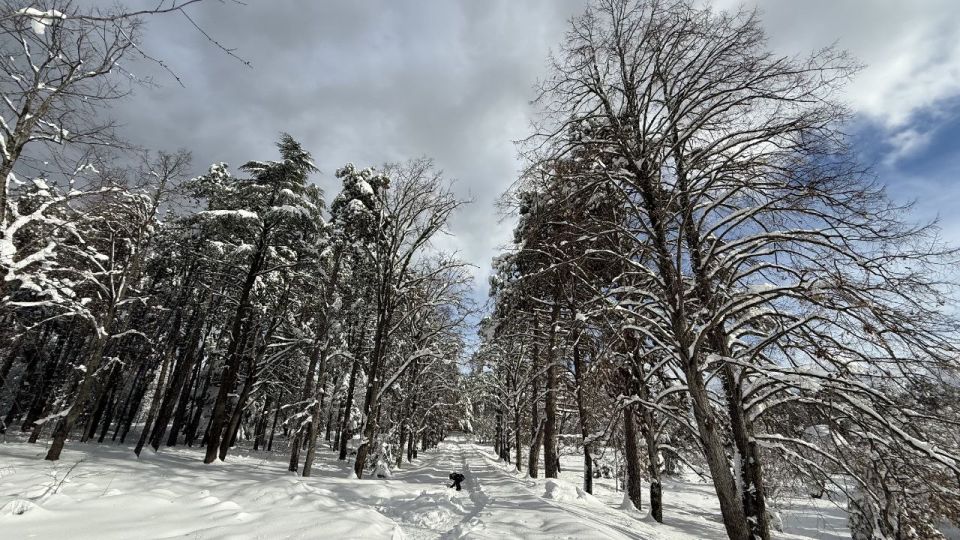 ���� � ����� - ������� ������, ������� ������ ��������������, ��� ����� � ����� ��������� ������