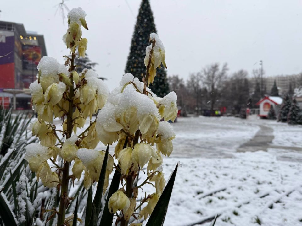 ���� � ������� ���������. : tg-����� ����� ��������