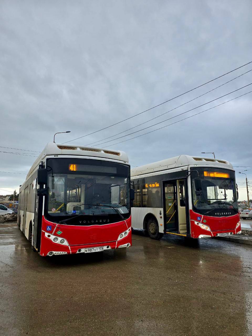 В Севастополе проверяют маршруты №37, 41, 182 и 183