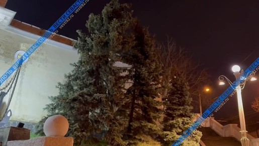 Ночью в Севастополе ожидают порывы ветра до 20 метров в секунду