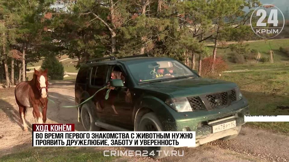 ��� �����. ��� � ��� ����� ���������� � �������� ������������ ����?