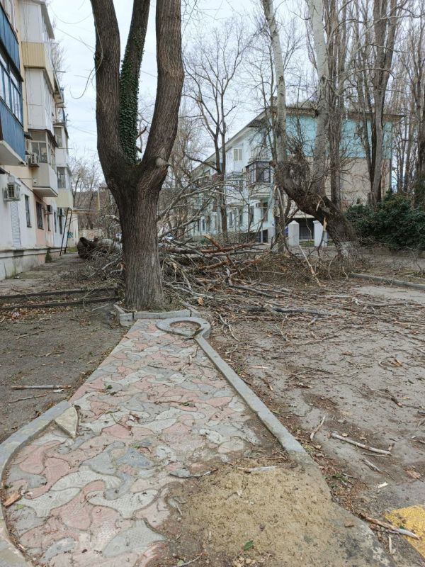 ������������ �������� � ���������� �������: �������� "��������� ���" ��� ���������