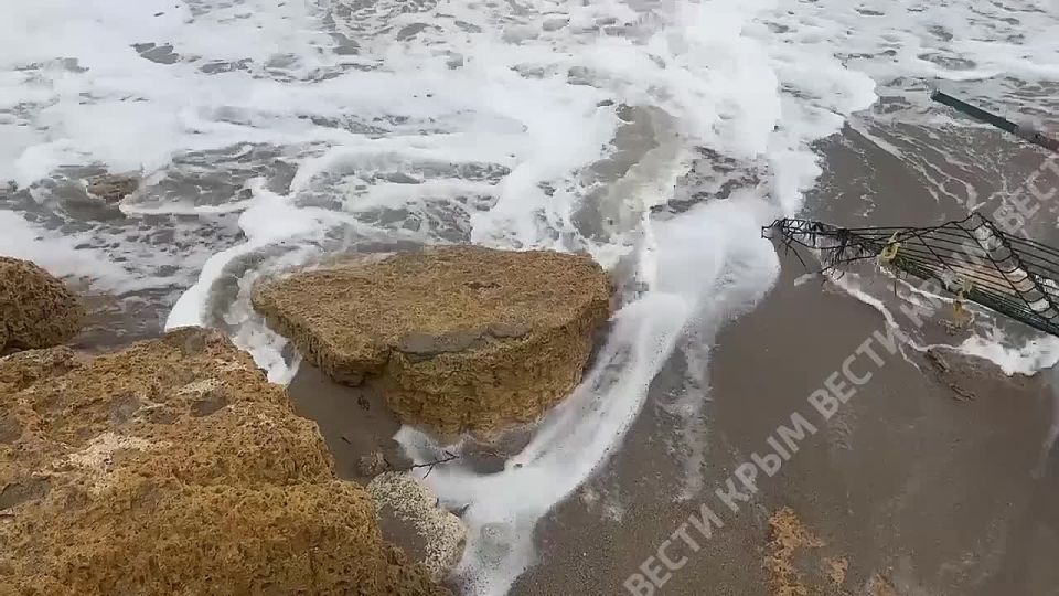 ���� ����� �� ������� � ���������