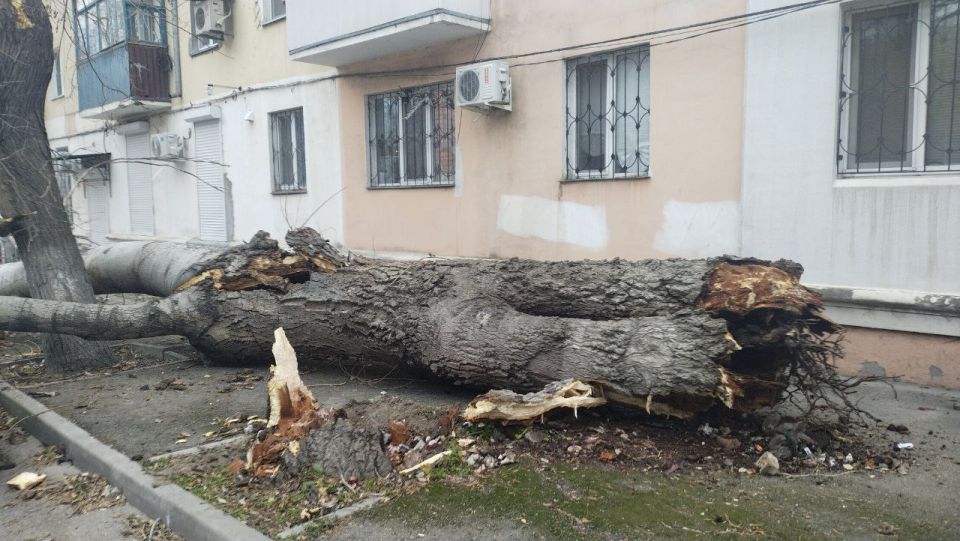 В результате непогоды в Феодосийском округе произошло повреждение памятника в поселке Приморском