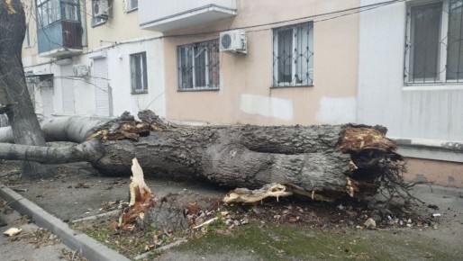 В результате непогоды в Феодосийском округе произошло повреждение памятника в поселке Приморском