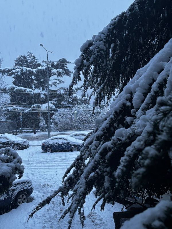 ���� � ������� ���������. : tg-����� ����� ��������