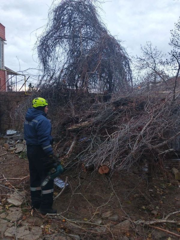 ������ ����� �� ������� ����� � ������ ��-�� ������