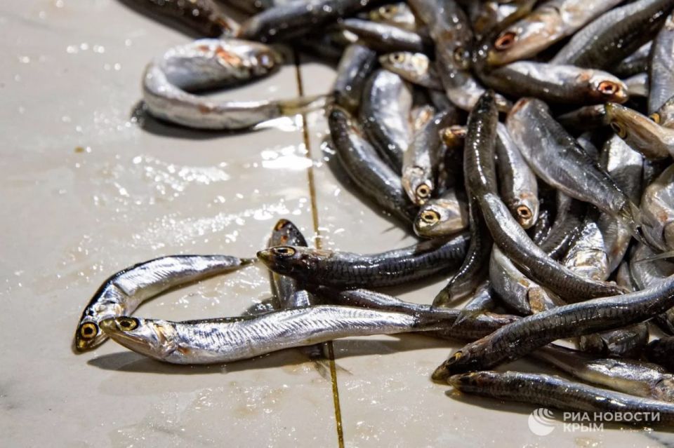 19,7 ������ ���� ����� �������� � 2025-� ���� � ������ � �������� �����