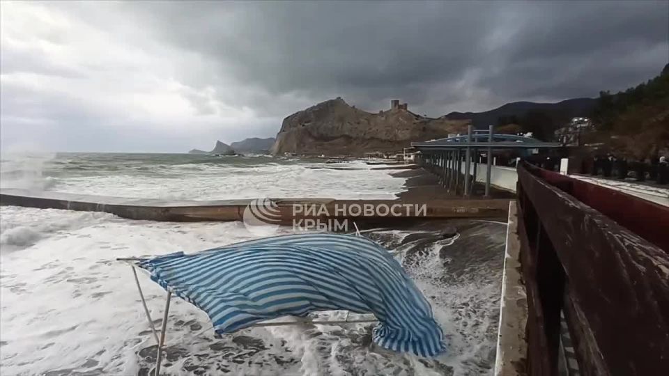 ��� ����� ����� ������� ������� � ������