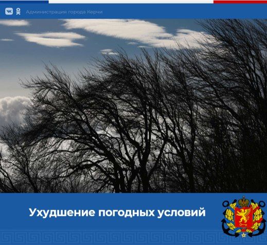 Усиление ветра в Крыму!. По информации ЕДДС Керчи, до конца суток 4 января в Крыму ожидается усиление юго-западного ветра 15-20 м/с, местами до 25 м/с