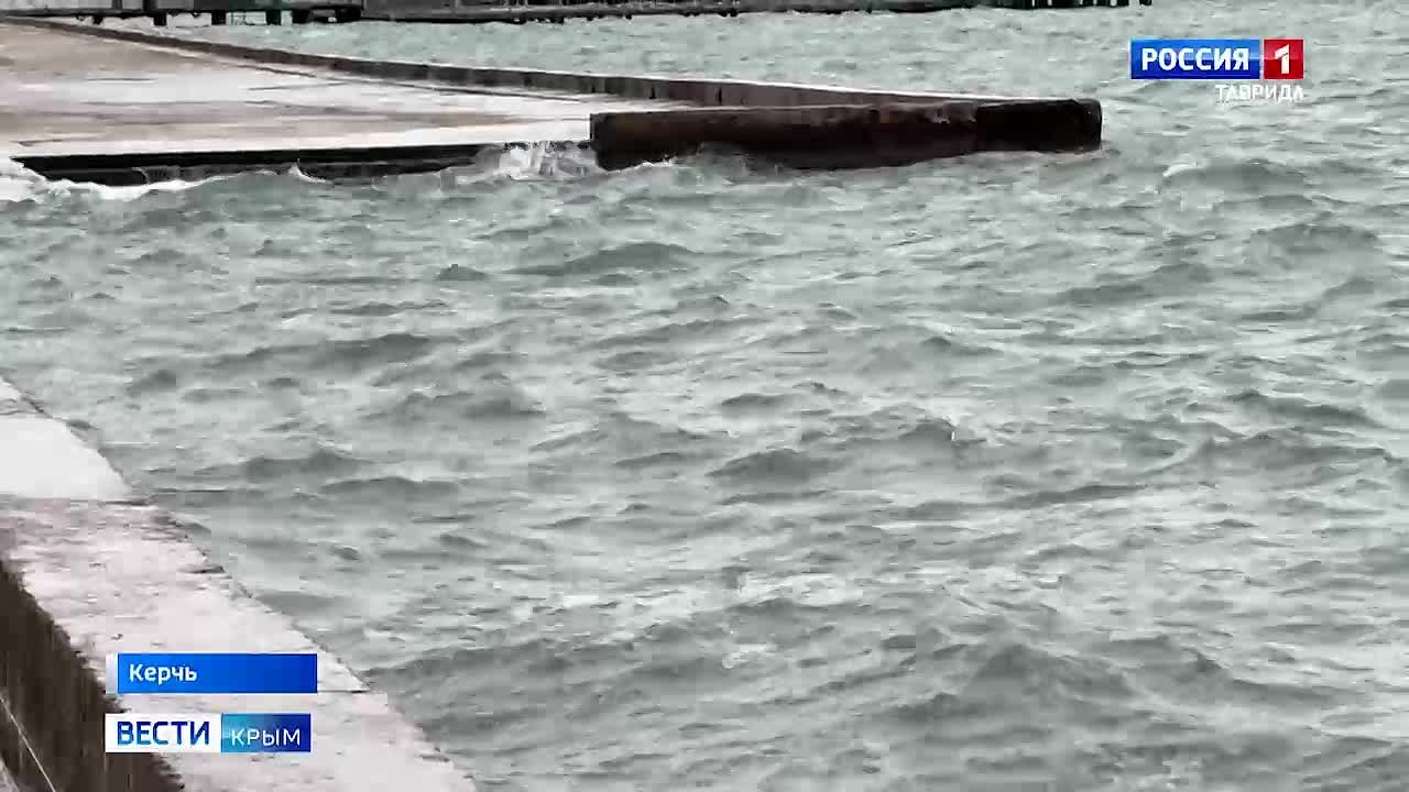 В Азовском море значительно выросла популяция креветки