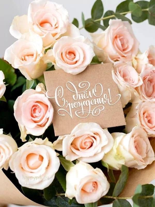 ����� ��������: ������� ���� ���� �������� �������� ����� ������������� ������������� ��������� ��������� ������ ������!