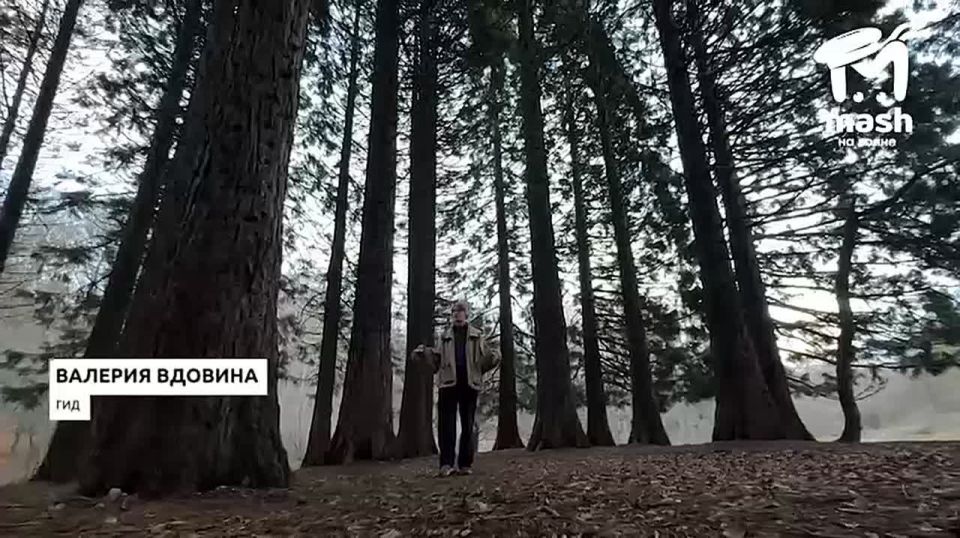 ���������� �� ����, ���� �� ������ ������� � ������� � ���� ����������