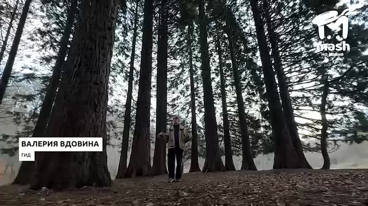 Выбираемся из дома, если не готовы реально — погнали с нами виртуально