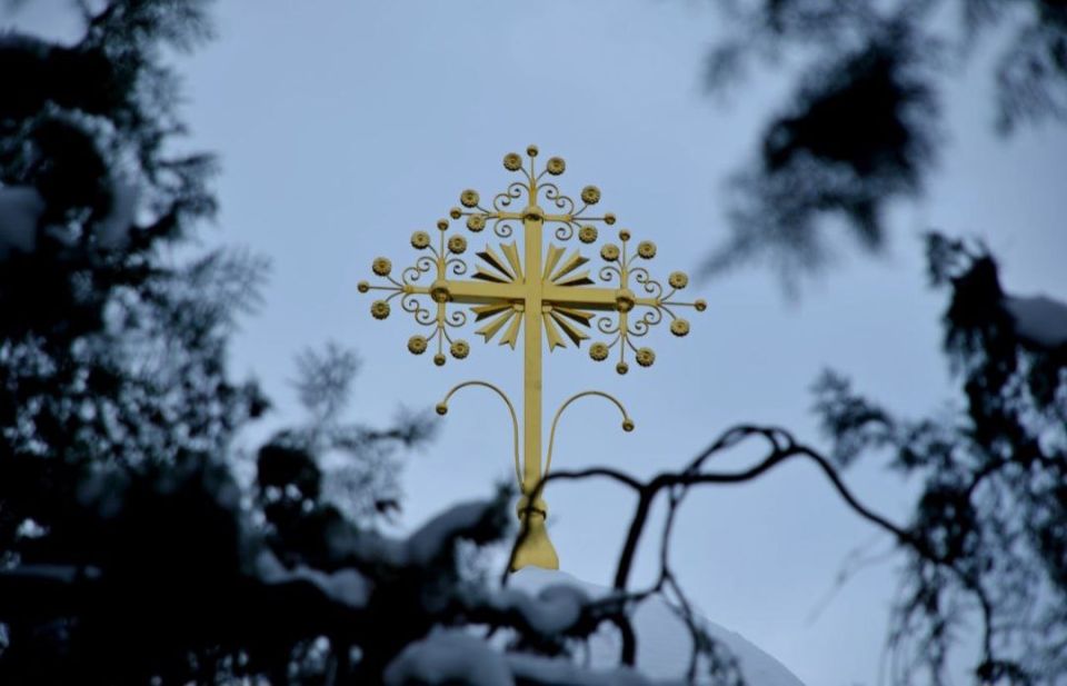 ������ ����, �����������!. #����������� #����