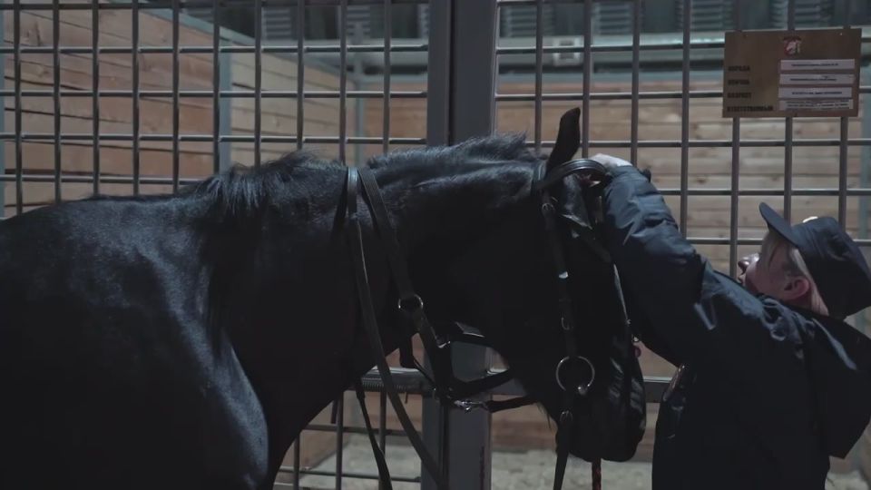 Михаил Развожаев: Если обратиться к восточному календарю, то наступивший 2026 год — это год Лошади