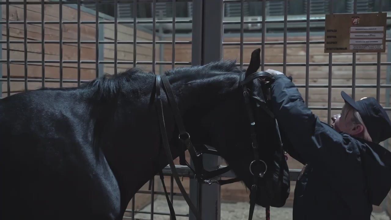 Михаил Развожаев: Если обратиться к восточному календарю, то наступивший 2026 год — это год Лошади