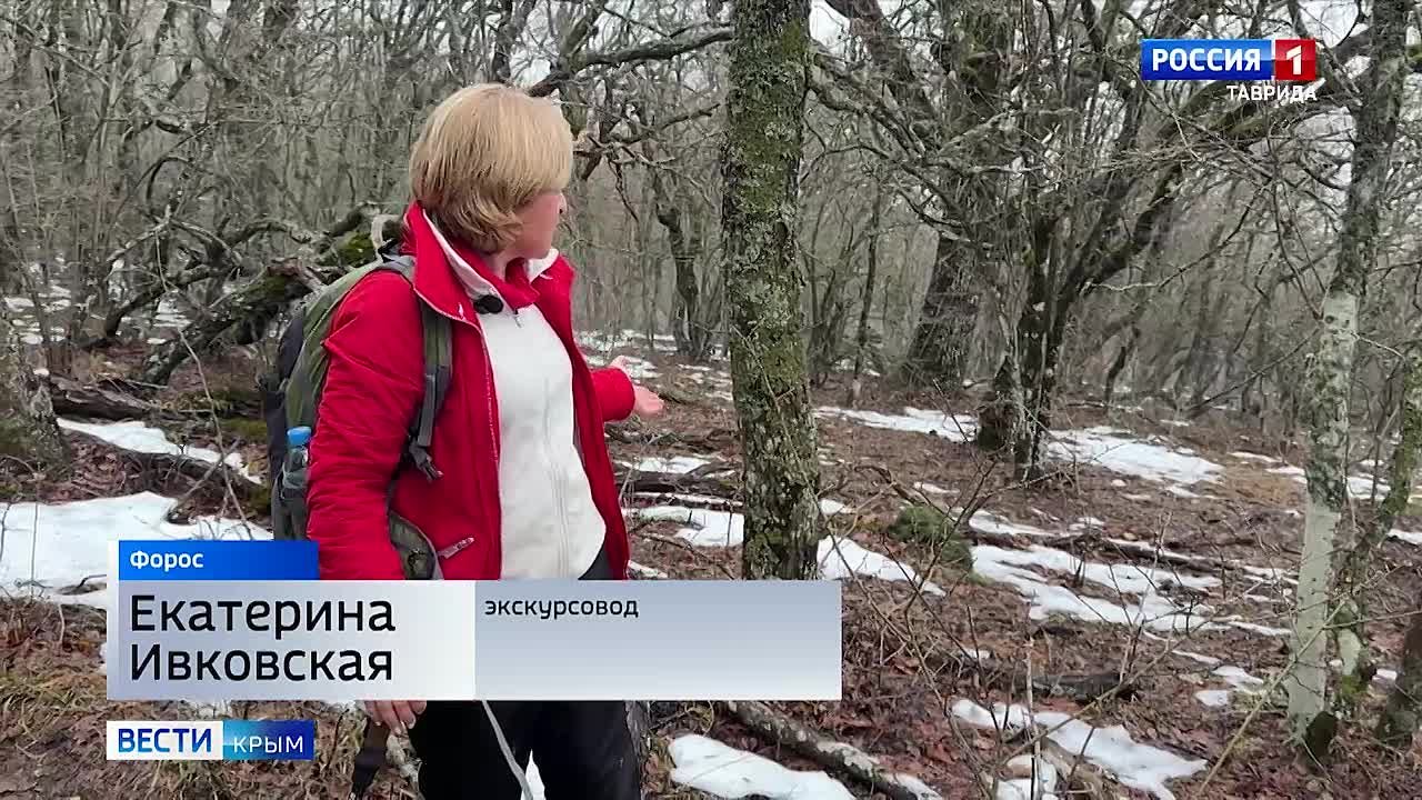 Сегодня во всём мире отмечается разгрузочный день