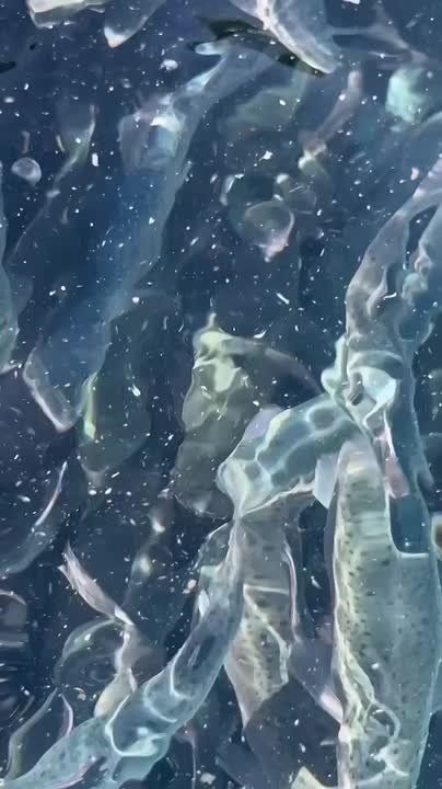 �� ���������� ���������� ���� ������������� 137 ���������� �������� ������� ���������� �������� ������������ ����, ��������� � ������ ������������ � ������� � ������� ����