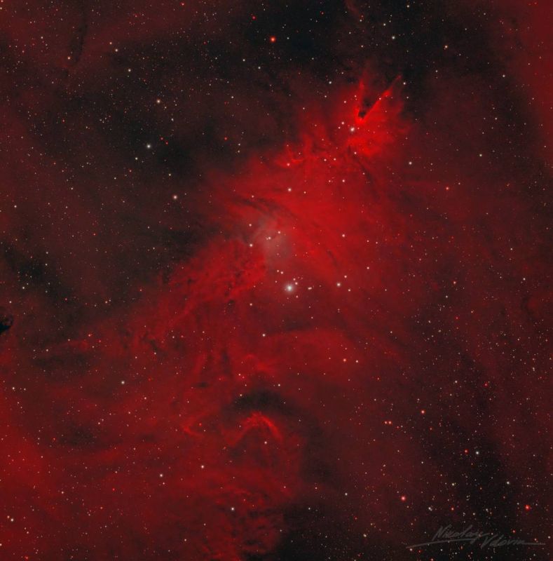 � ������� ���� "�������������� ����"