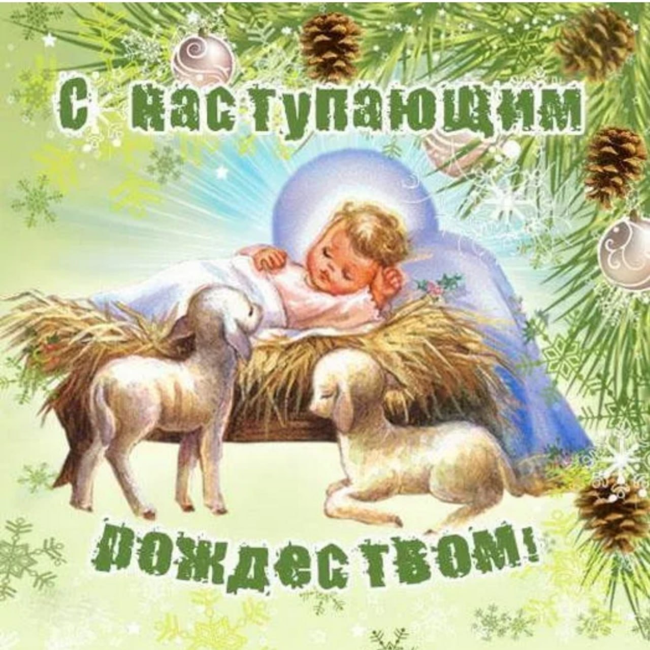 Уважаемые члены ассоциации и их семьи!