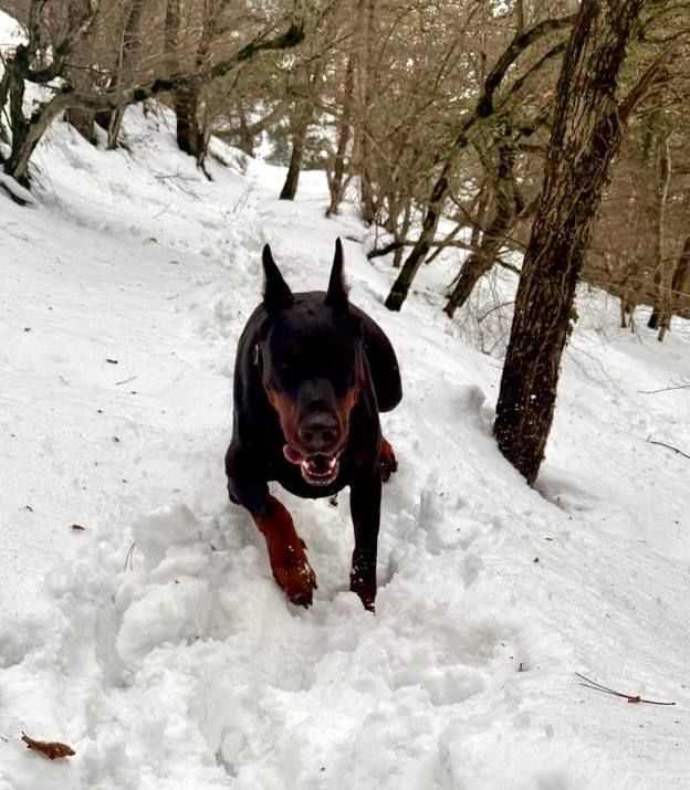 ���� ����: ������ �������� ��� ����� �� ����