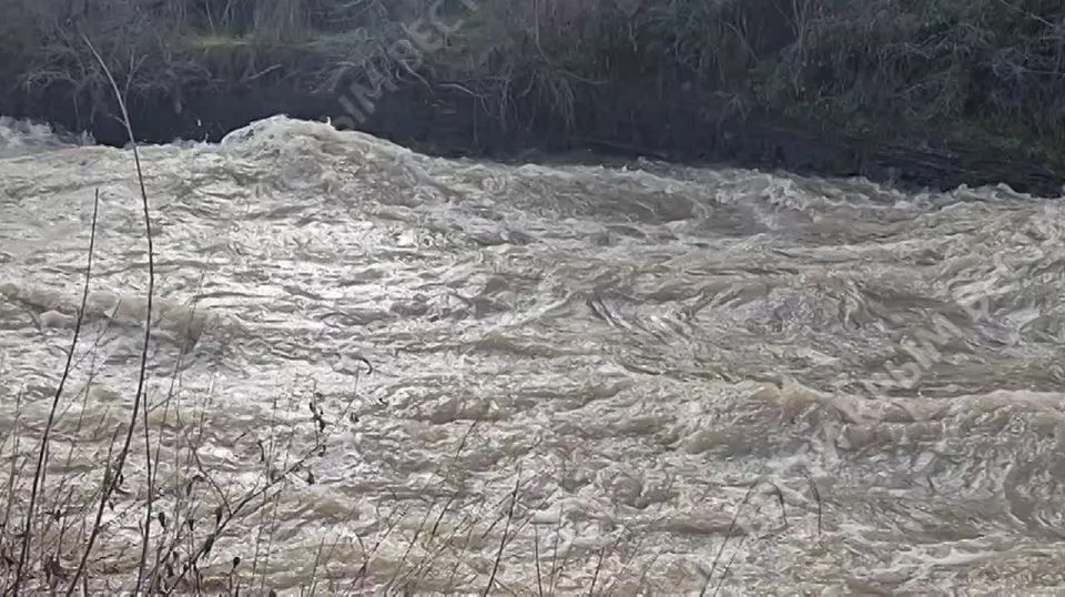 � ����� ���������� ������� ���� � �����