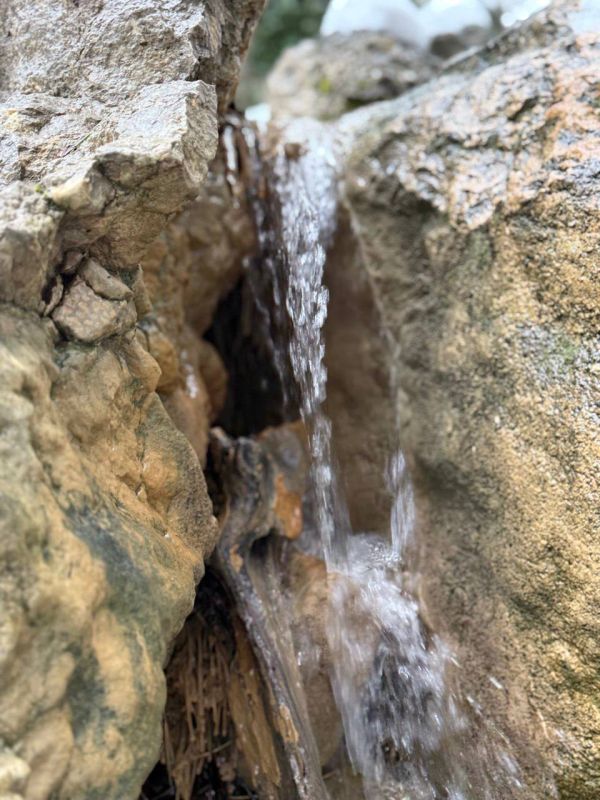 ���� ����: ������ �������� ��� ����� �� ����