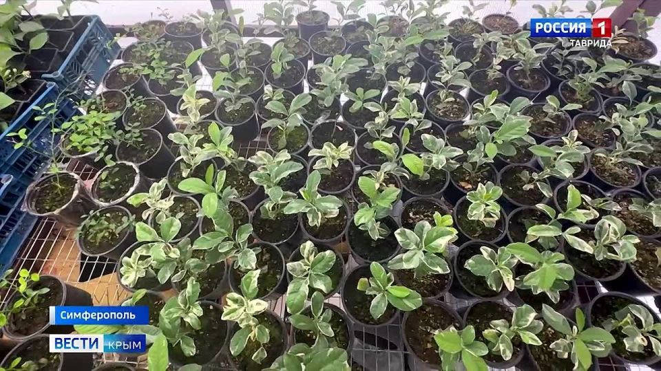 � �������� �������� ���������� ����������� ��������