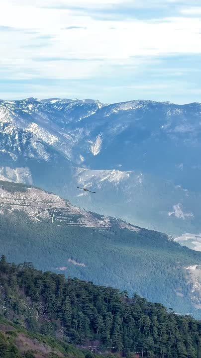 ��������� ���� ����������� �� ������ �� ��-�����