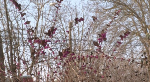 ������ ����, �����������!. #����������� #����