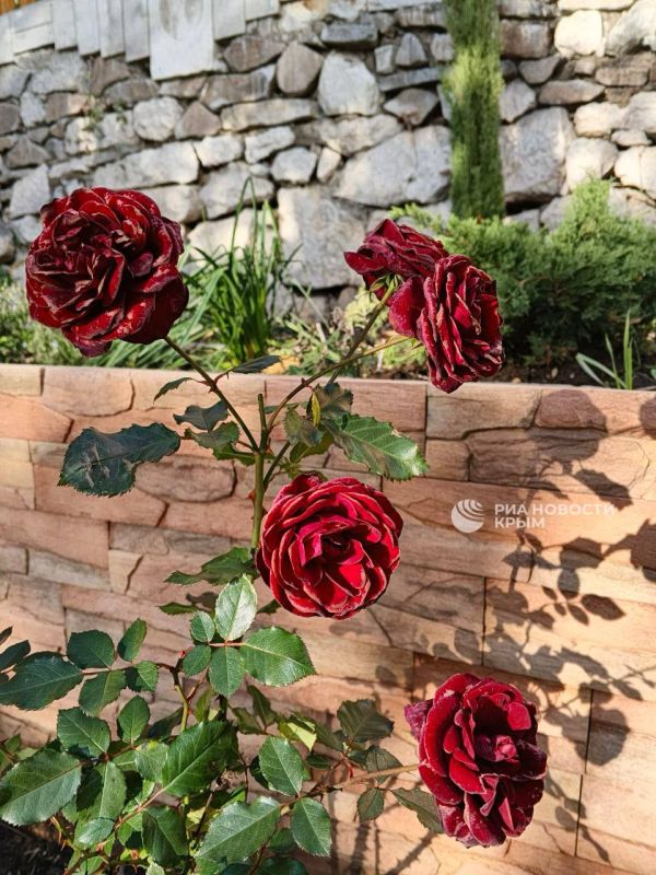 ����������, �� ����: �� ������ ����� � �������� �������� �� ����������� � ������!