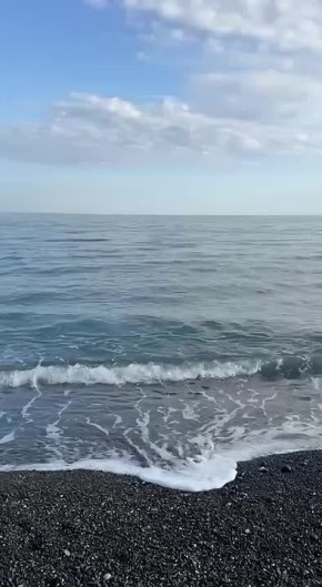 Олег Царёв: Ясный рождественский день был сегодня в Ялте