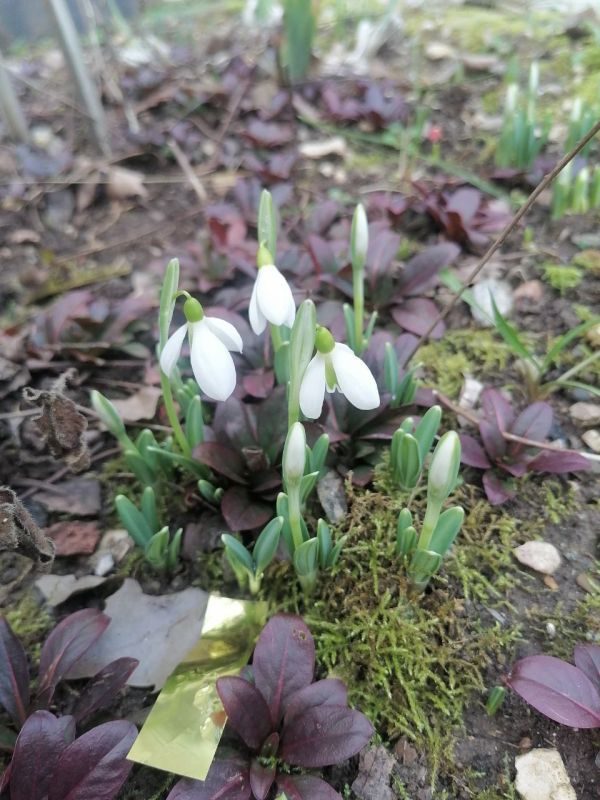 ����������� ��� ������ � ��������������� ������