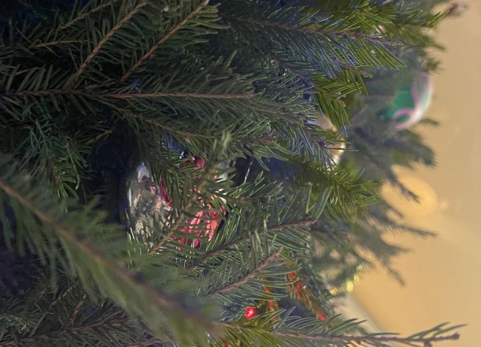 ��� � ����������� ����� ����� ���������� ����: ������ ������� �����