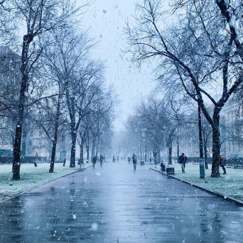 ���� ������� ����� � ���� � ��������� ���