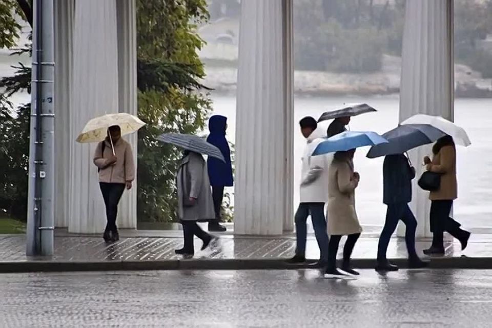 ��������� ����� � ������� ����� ����������� �� �����������