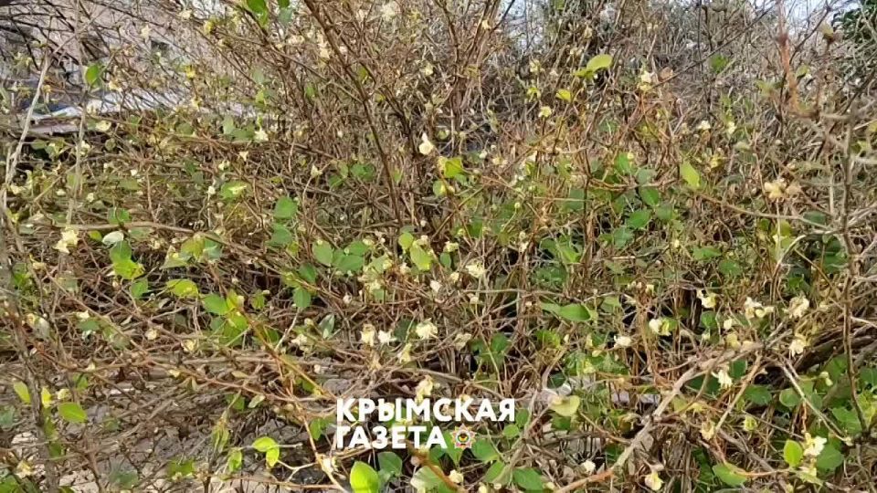 �������������� ����: � ������� ����� ������ ������ ����� ������!!!